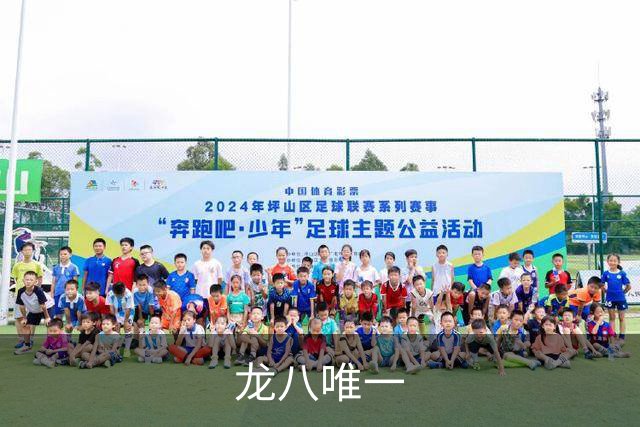龙八唯一公司简介